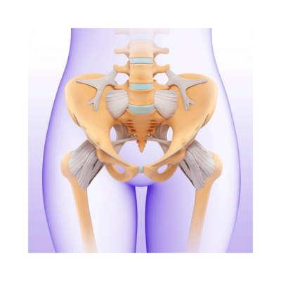 Pre & Post Abdominal/ Pelvic Surgery